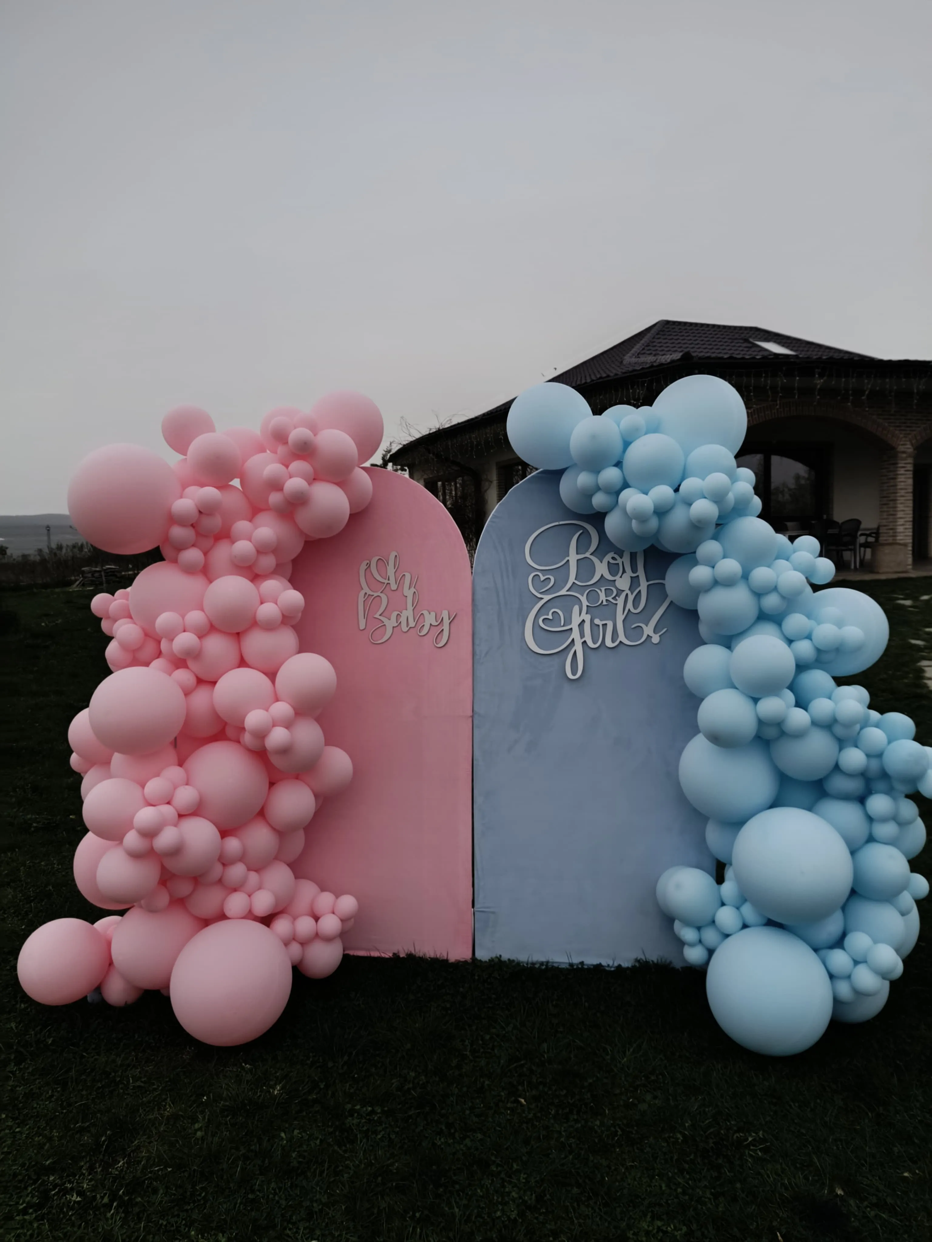 Gender Reveal